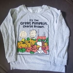 Peanuts Charlie Brown sweater size s